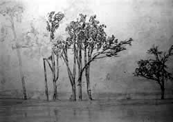 Ernst te Peerdt: Baumgruppe im Wasser