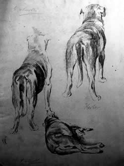 Ernst te Peerdt: Hector